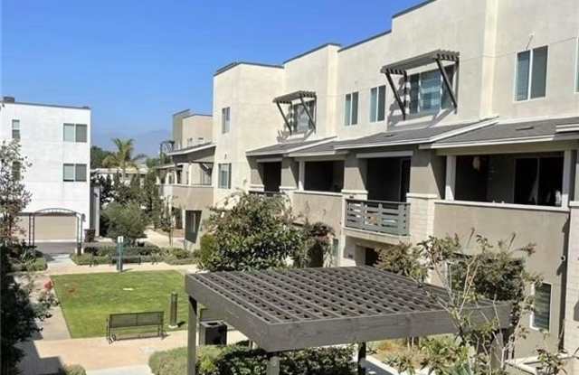 2829 Lily photos photos