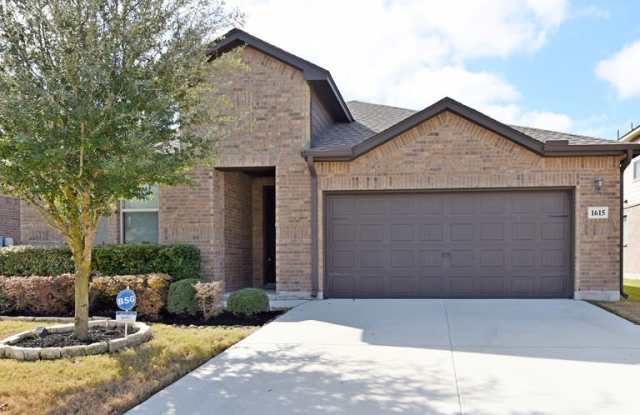 1615 Finland Palm - 1615 Finland Palm, San Antonio, TX 78251