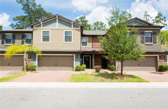17378 OLD TOBACCO ROAD - 17378 Old Tobacco Road, Northdale, FL 33558