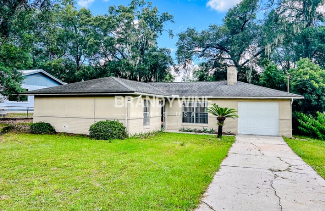 551 Daley Street - 551 Daley Street, Orange City, FL 32763