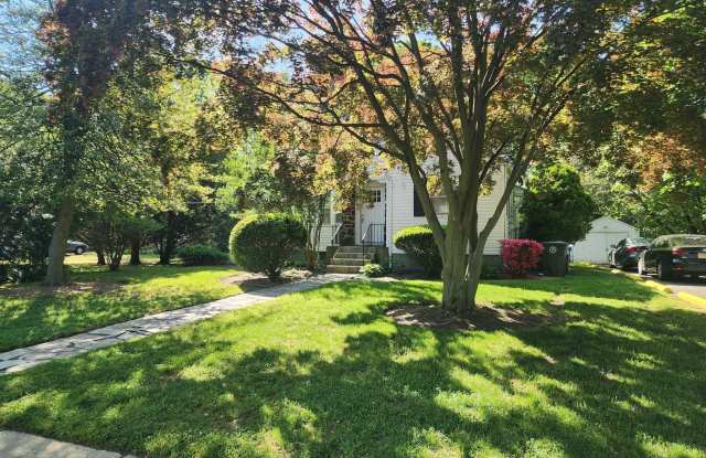 10 NORMAL Boulevard photos photos