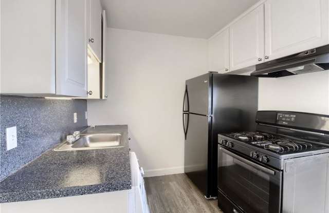 1206 East 52nd Street - 208B Gallery 2