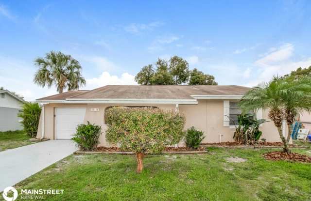10114 Enchanted Oaks Court - 10114 Enchanted Oaks Court, Town 'n' Country, FL 33615