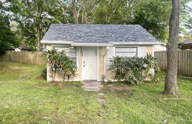 1323 Woodruff - 1323 Woodruff Avenue, Jacksonville, FL 32205