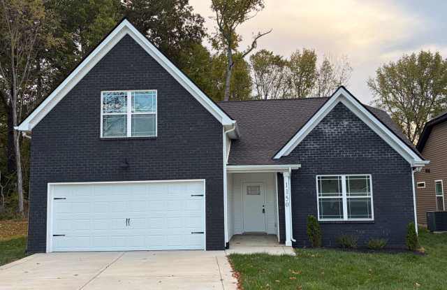 Beautiful New Construction Home For Rent! Gallery 1
