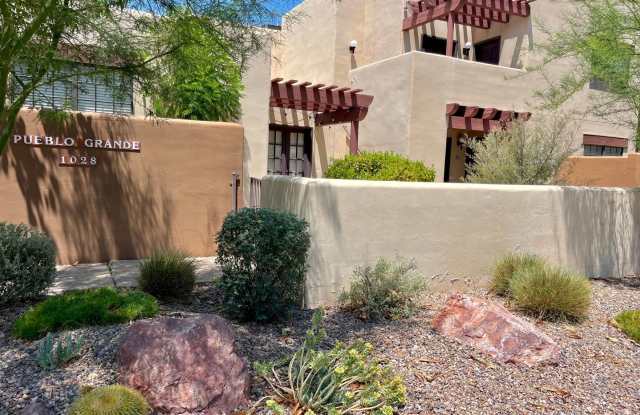 ASU Location!! Welcome to this modern and recently remodeled bedroom, 1 bathroom condo! - 1028 South Ash Avenue, Tempe, AZ 85281