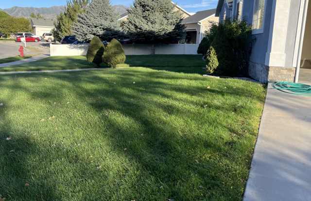 1517 E Falcon Ln Gallery 4