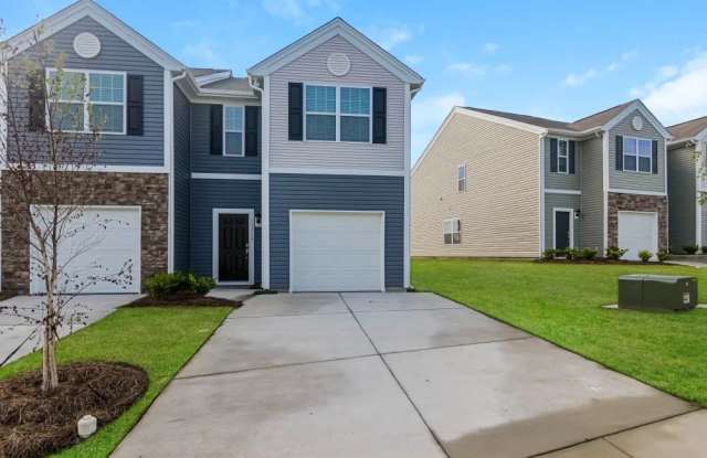 11719 Brier Village Ln - 11719 Brier Village Lane, Mecklenburg County, NC 28262