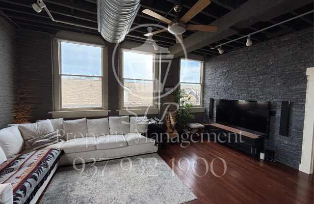 215 Ice Avenue - 215 Gallery 4