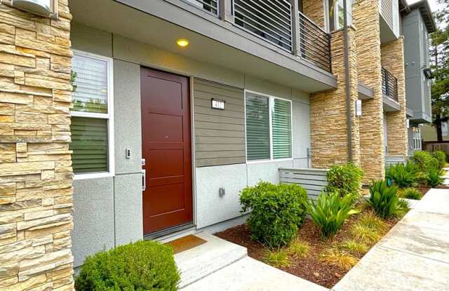4 Bedroom 3 bathroom newly Built Townhouse for Rent! Gallery 1