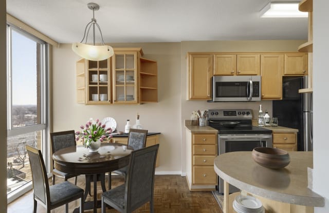 The Edina Towers Gallery 2