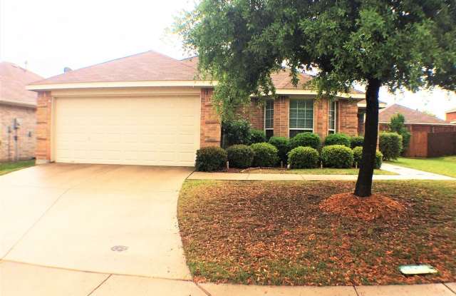 9817 Fillmore Dr. - 9817 Fillmore Dr, McKinney, TX 75072