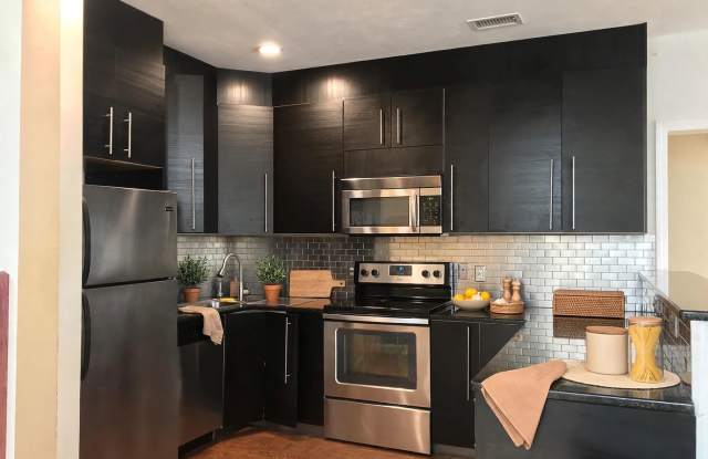 NO FEE!  Gorgeous, Unique Apt by Coolidge Corner!  Perfect for BU students & working pros! Gallery 3