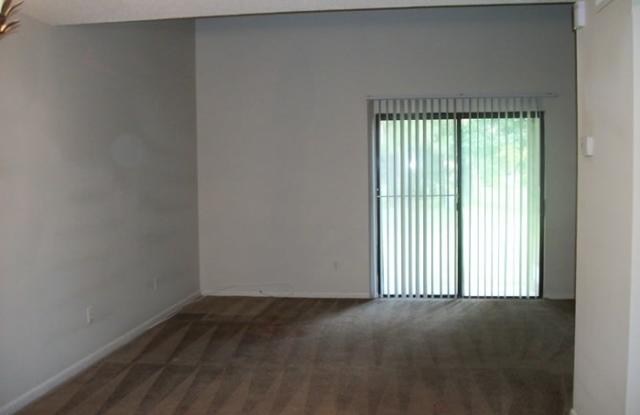8372 Pineverde Lane Gallery 4
