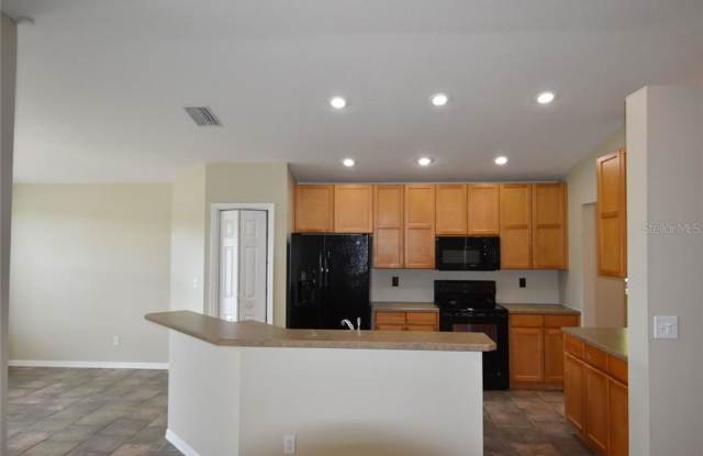 11107 SILVER DANCER DRIVE Gallery 2
