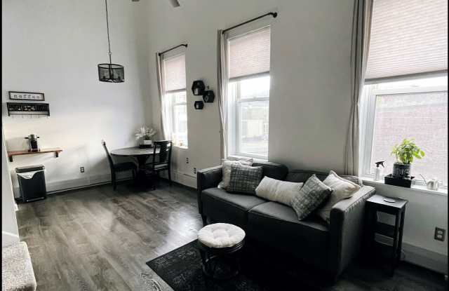 405 Main Street - 307unit 307 - 405 Main Street, Red Wing, MN 55066