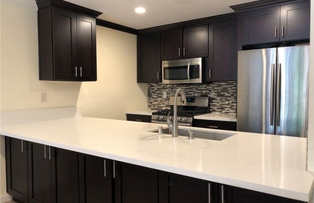 364 Orange Blossom photos photos 364 Orange Blossom photos photos