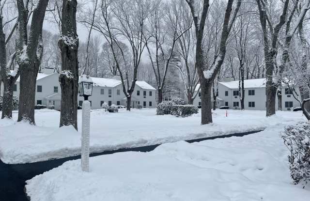 Large 1-bedroom in courtyard-style complex photos photos