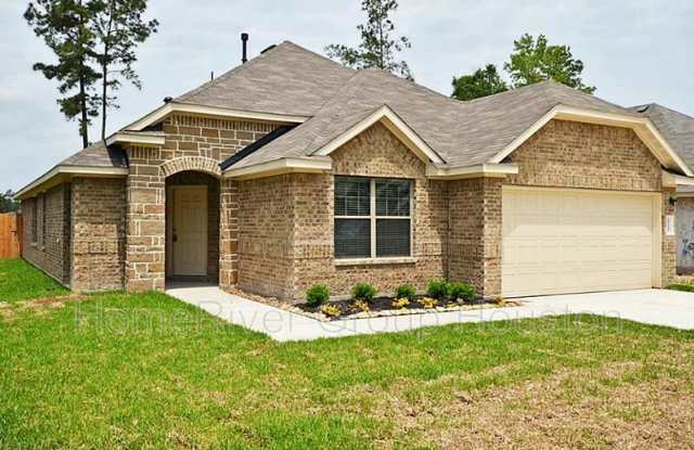 19147 Shire Horse Blvd - 19147 Shire Horse Boulevard, Montgomery County, TX 77365