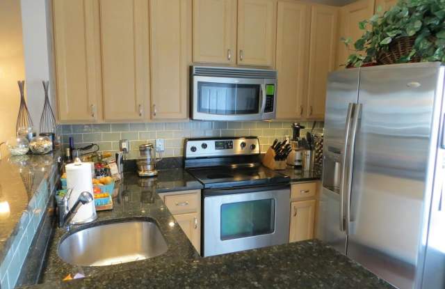 22553 BLUE ELDER TERRACE Gallery 3