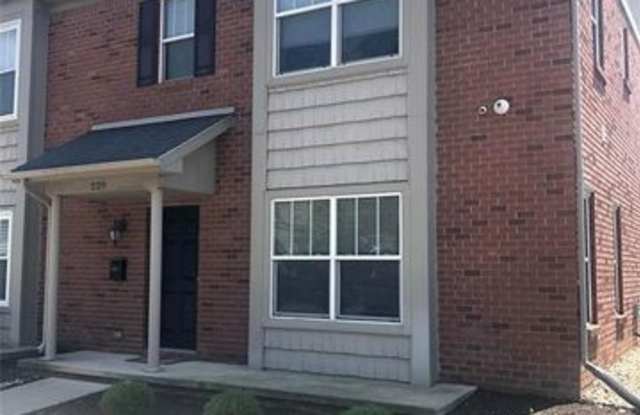 229 Oak St - 229 Oak St, Wyandotte, MI 48192