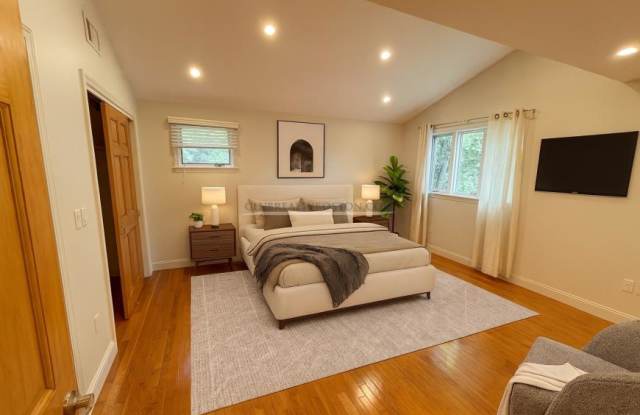 195 Forest Gallery 2