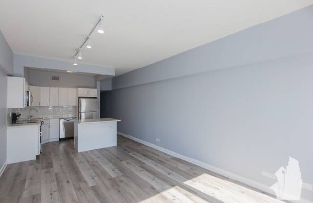 175 East Delaware Place Gallery 4