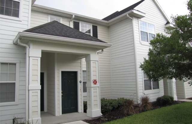 225 SOUTHERN PECAN CIRCLE - 225 Southern Pecan Circle, Winter Garden, FL 34787