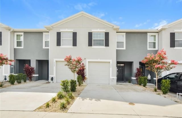 5356 Dragonfly Drive - 5356 Dragonfly Drive, Wildwood, FL 34785
