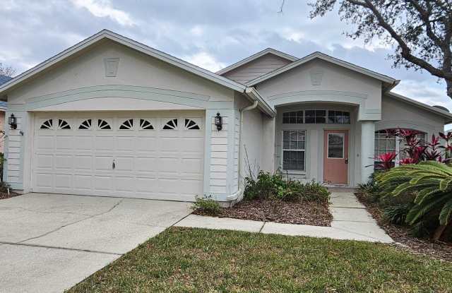 3 Bedroom home in gated community in New Tampa photos photos