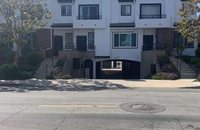 2223 Pacific Avenue photos photos