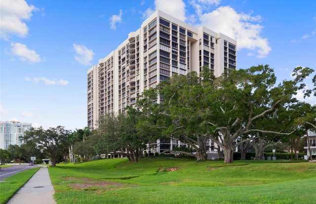 3301 BAYSHORE Boulevard Gallery 1