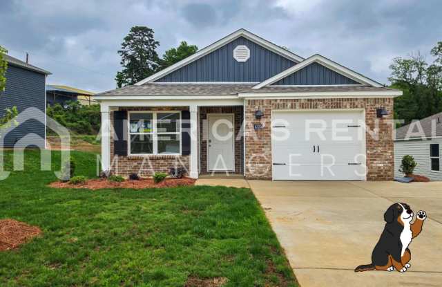 New Construction Home Available for Rent NOW! photos photos
