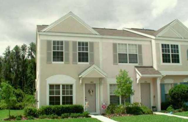 1405 Costa Mesa Drive - 1405 Costa Mesa Dr, Wesley Chapel, FL 33543