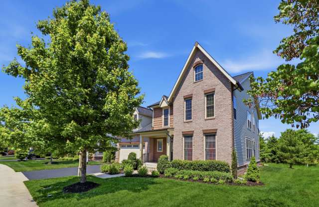 42426 Myan Gold Drive photos photos