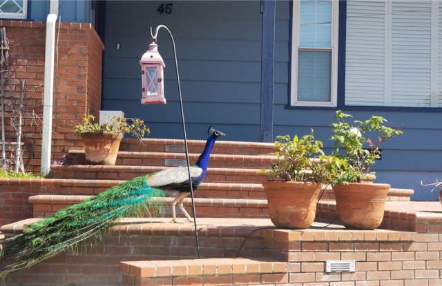45 Hitching Post Drive Gallery 3