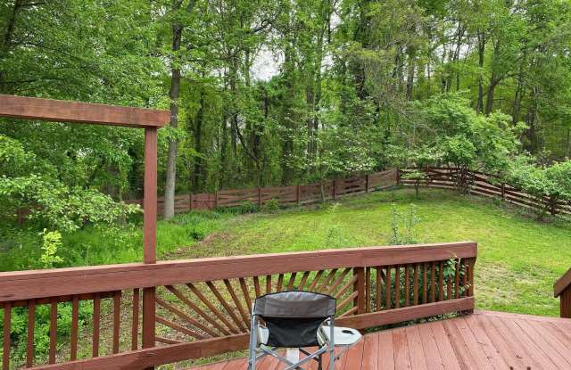 8106 GOLD CUP Lane Gallery 2