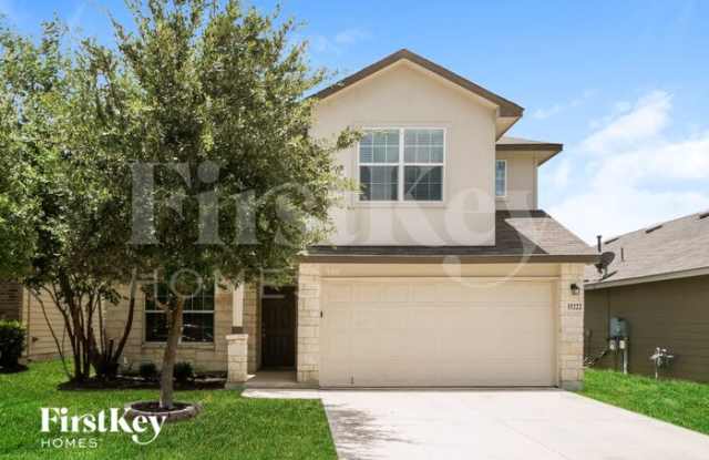 15222 Cinnamon Teal photos photos
