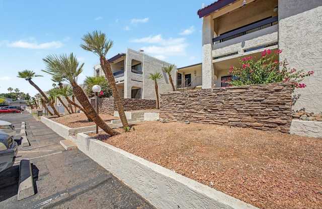 3825 E Camelback Gallery 4