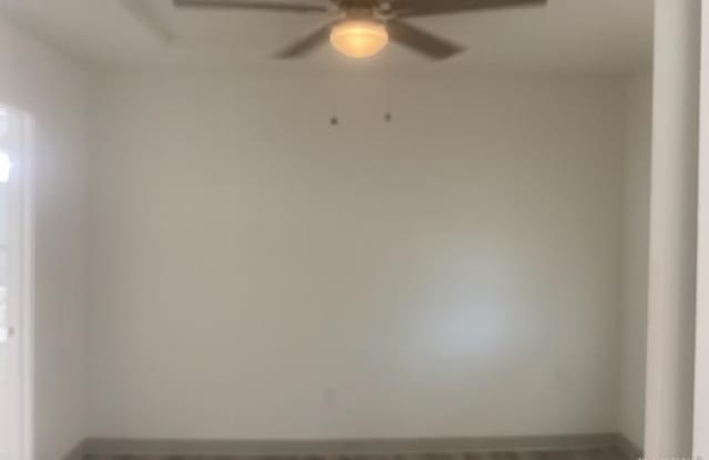 352 Brown Street Gallery 4