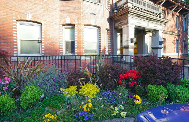 Ben Lomond photos photos