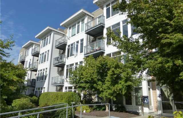 Bainbridge Island Condo photos photos
