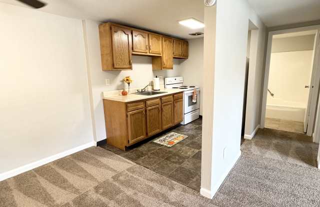 411 PARK MANOR PLACE photos photos