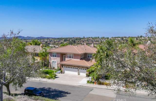13 Bell Canyon Drive Gallery 4