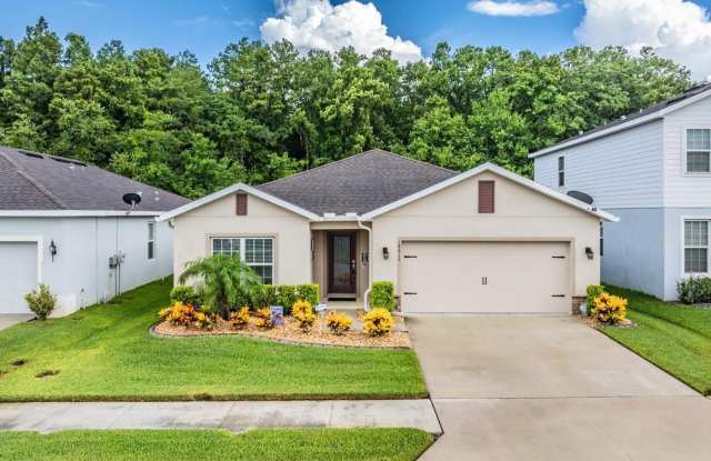18612 HUNTERS MEADOW WALK - 18612 Hunters Meadow Walk, Pasco County, FL 34638