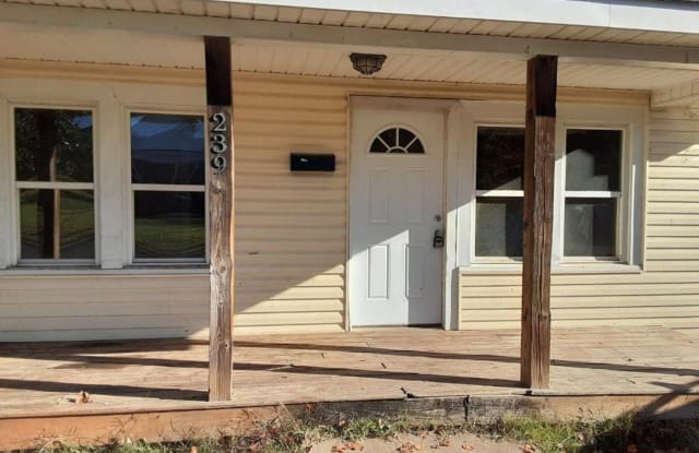 239 E Kivett Street - 239 East Kivett Street, Asheboro, NC 27203