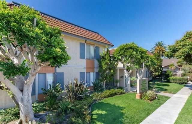 241 Avocado Street photos photos