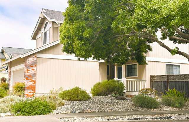 1537 Yarberry Dr., Petaluma, Ca. (4 bedroom, 2.5 bathroom House) photos photos
