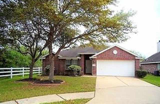 19711 Indian Cherry Forest Lane - 19711 Indian Cherry Forest Lane, Harris County, TX 77433