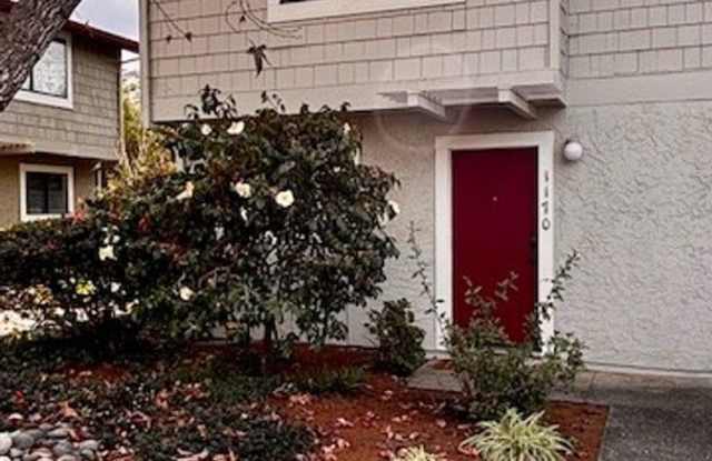 Charming Live Oak Townhome – Completely Renovated  Move-In Ready! photos photos